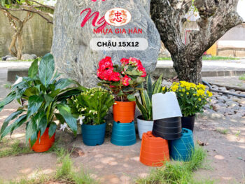 CHẬU NHỰA 15x12 - Ảnh 8