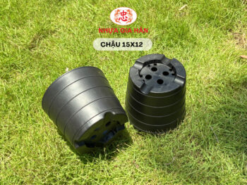 CHẬU NHỰA 15x12 - Ảnh 6