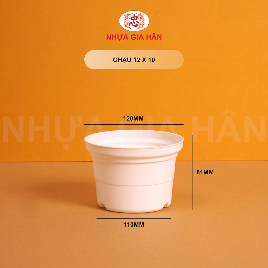 CHẬU NHỰA 12x10 CHẬU NHỰA 12x10 - Ảnh 1