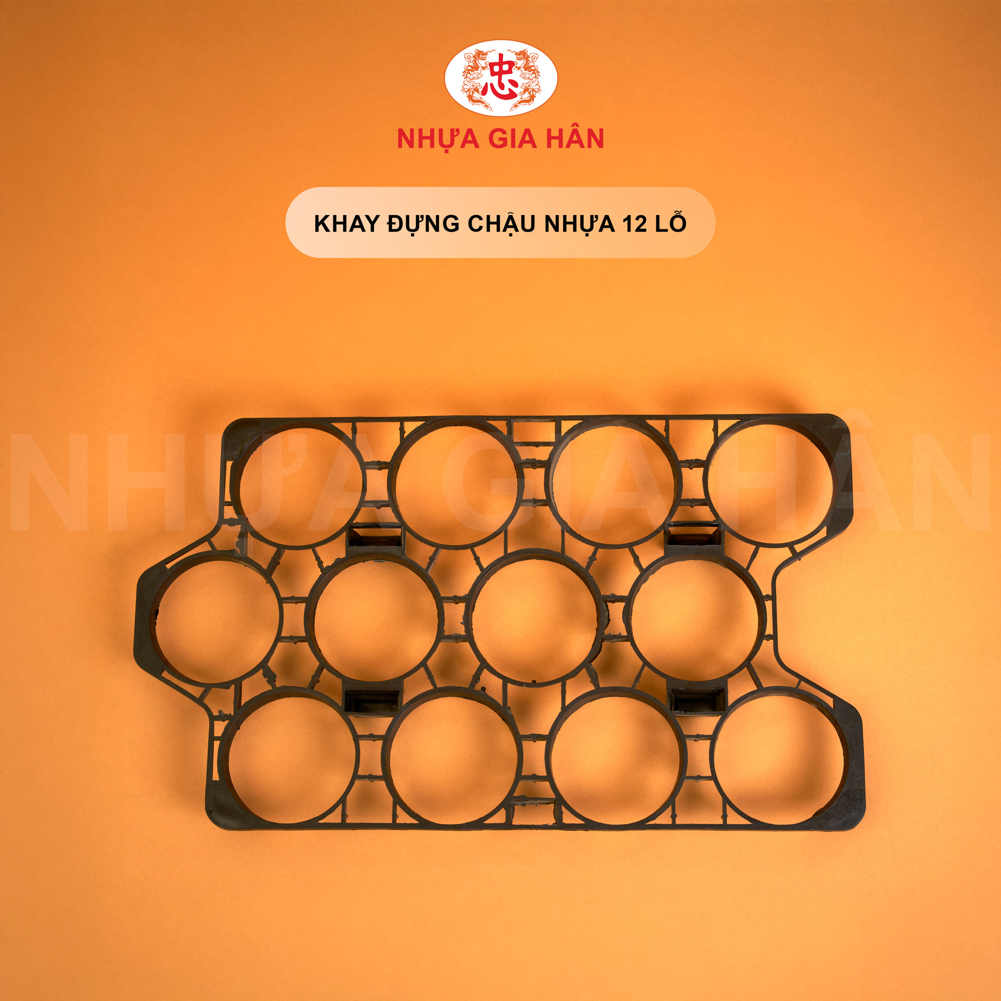 KHAY ĐỰNG CHẬU NHỰA 12 LỖ KHAY ĐỰNG CHẬU NHỰA 12 LỖ - Ảnh 1